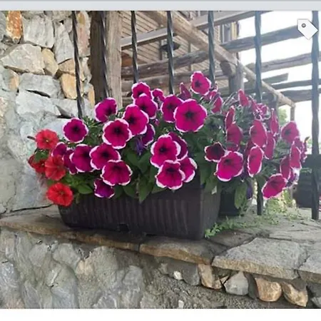 Buhlevata Vodenitsa 3*