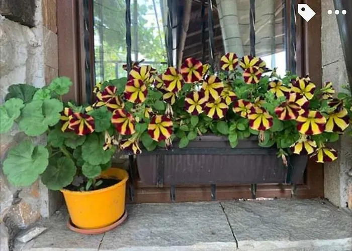 Buhlevata Vodenitsa Otel Burgaz