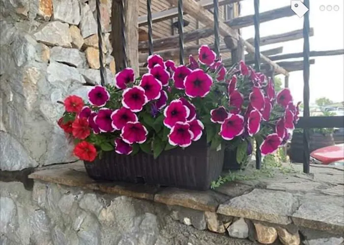 Buhlevata Vodenitsa 3*